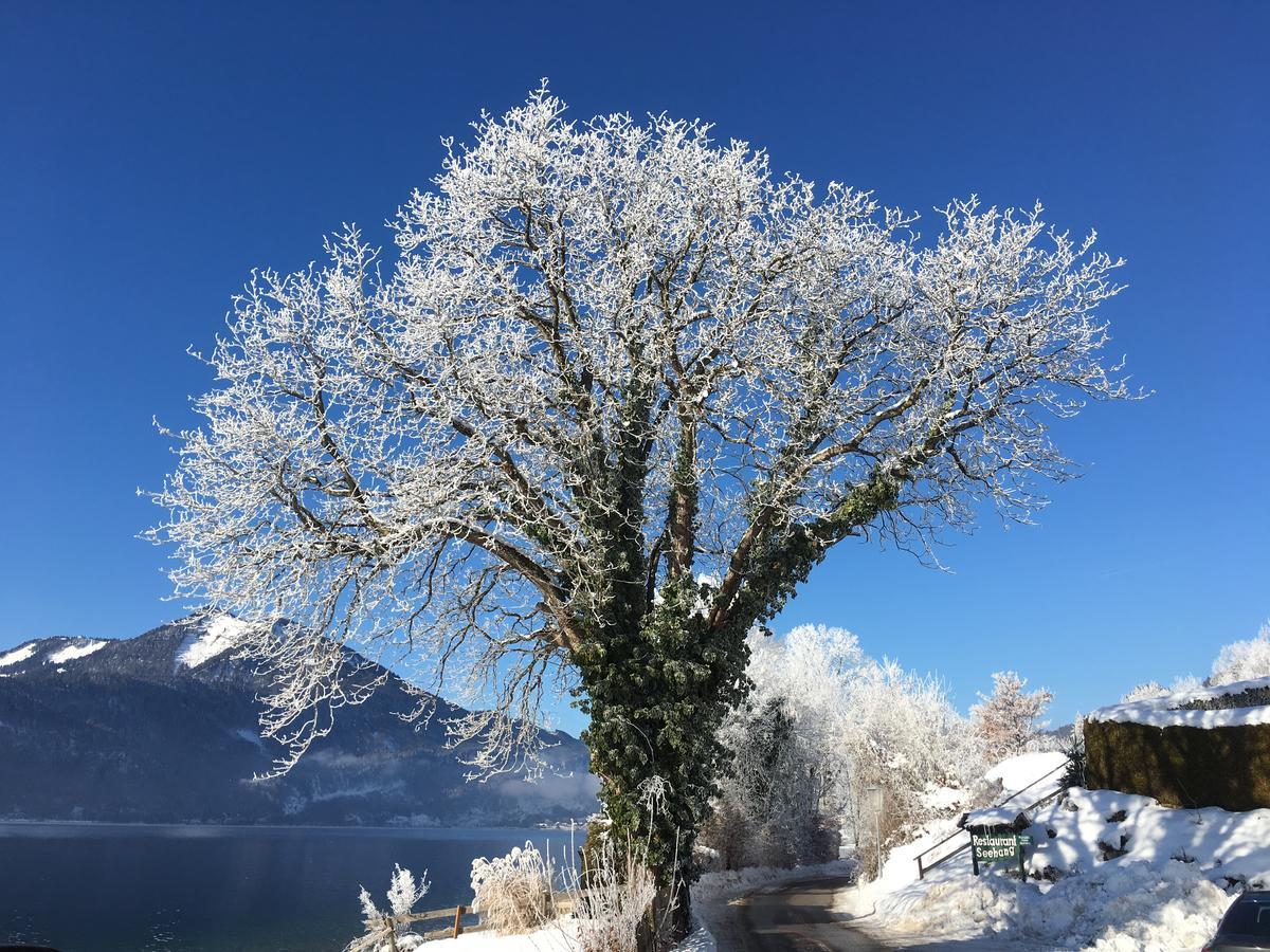 Hotel Seehang Garni Sankt Wolfgang im Salzkammergut Luaran gambar